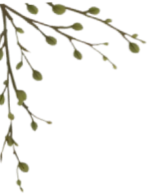 branch with several small, green leaves