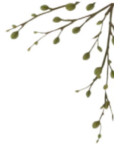 Branch with green leaves